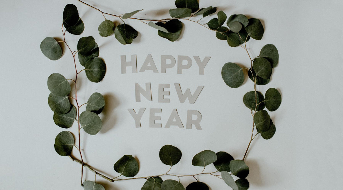 Eco-Friendly and Affordable New Year's Resolutions - Trying to be