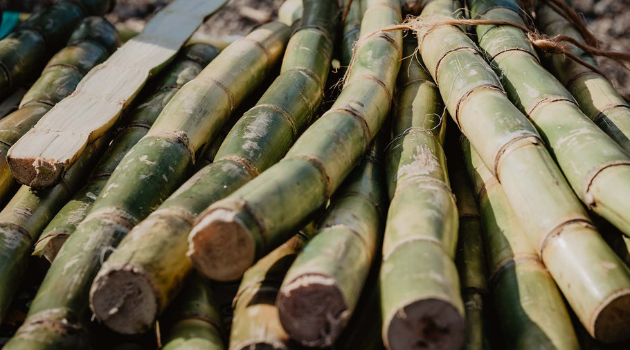 Responsible Bamboo Farming: FSC certification and why it matters