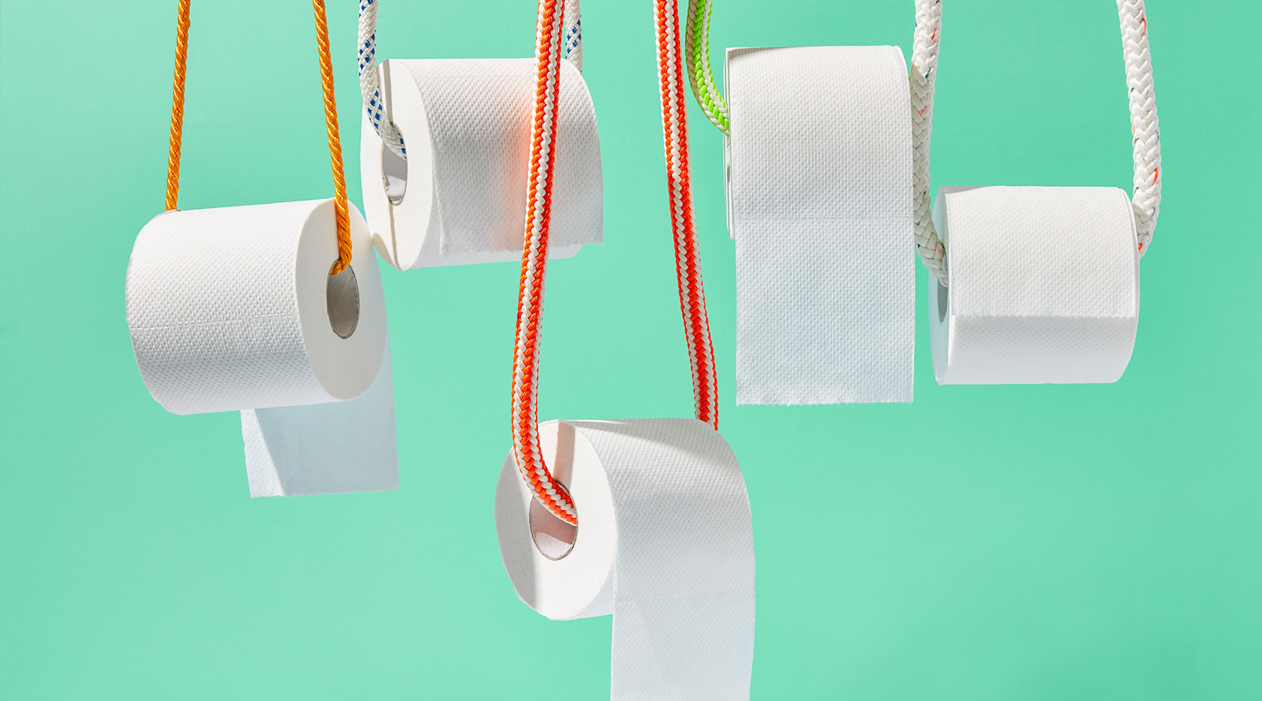 All the Ways We've Wiped: The History of Toilet Paper and What Came Before