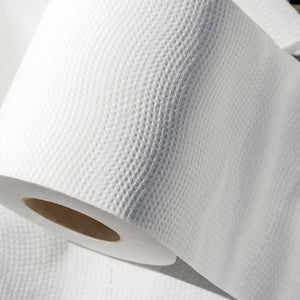 3-ply bamboo toilet paper  bathroom rolls by cloud paper
