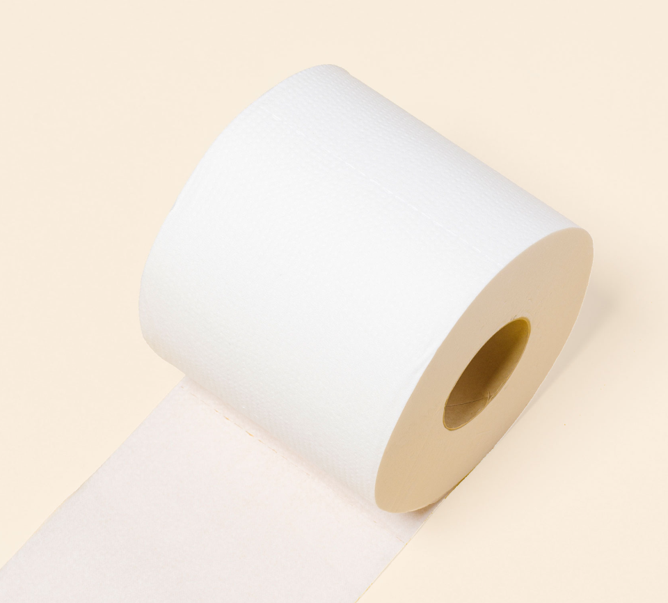 Cloud Paper Bamboo Toilet Paper Review