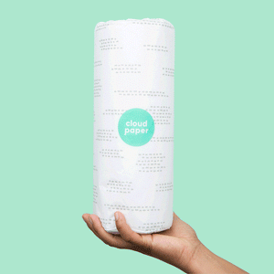eco-friendly bamboo paper towels 2-ply