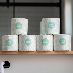 Cloud Paper's bamboo toilet paper on counter