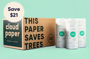 bamboo paper towels in bulk wholesale on cloud paper